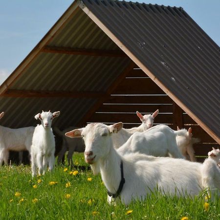 Farma Klinec Villa Exteriör bild