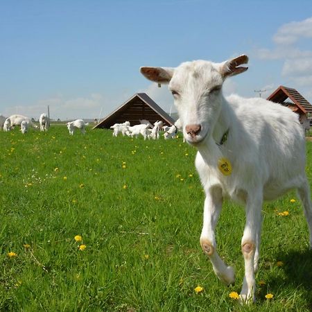 Farma Klinec Villa Exteriör bild