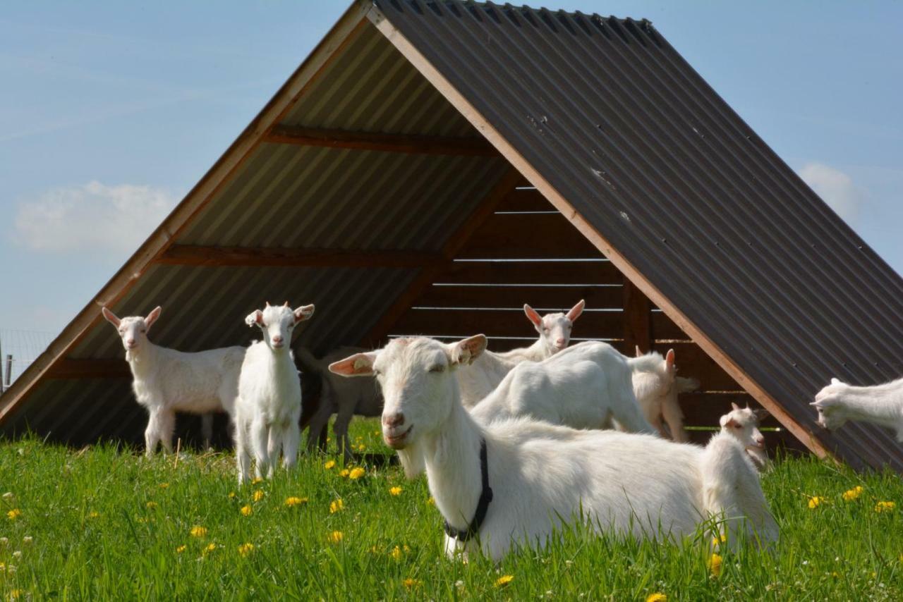Farma Klinec Villa Exteriör bild